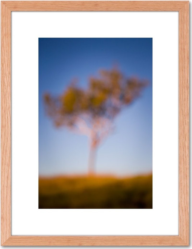 Belburn Creek WA 2007