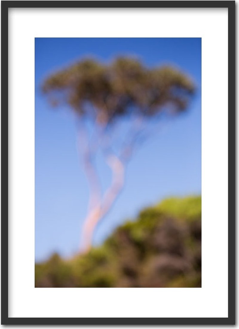 Binalong Bay TAS 2014