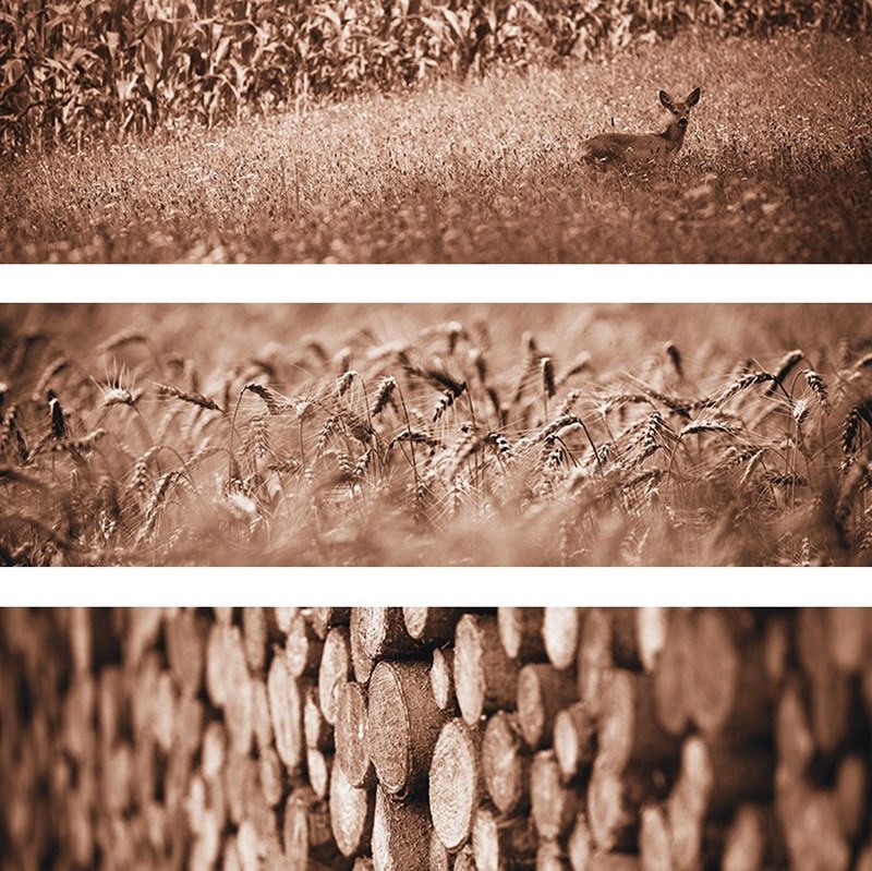 Art in public space ~ photographs 7–9