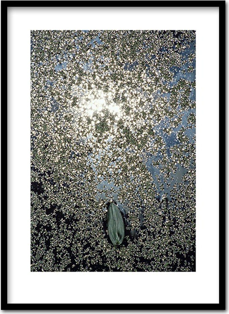 Ausgebadet ~ 53 x 73 cm