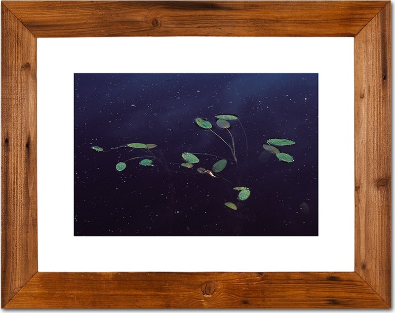 Ausgebadet ~ 48 x 38 cm