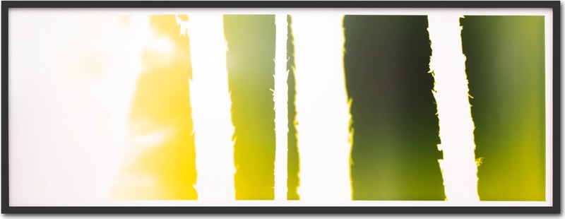 Abbey garden ~ 200x75cm