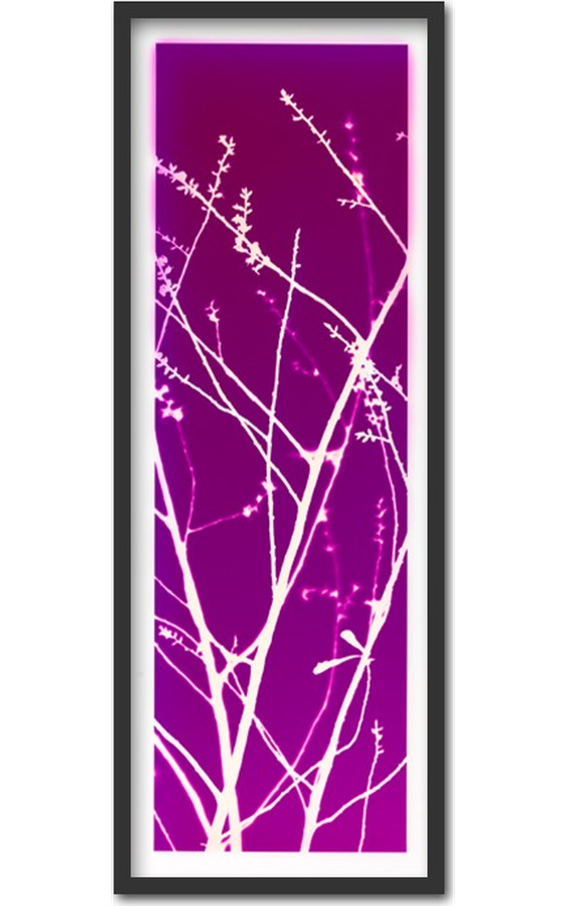 Abbey garden ~ 30x75cm