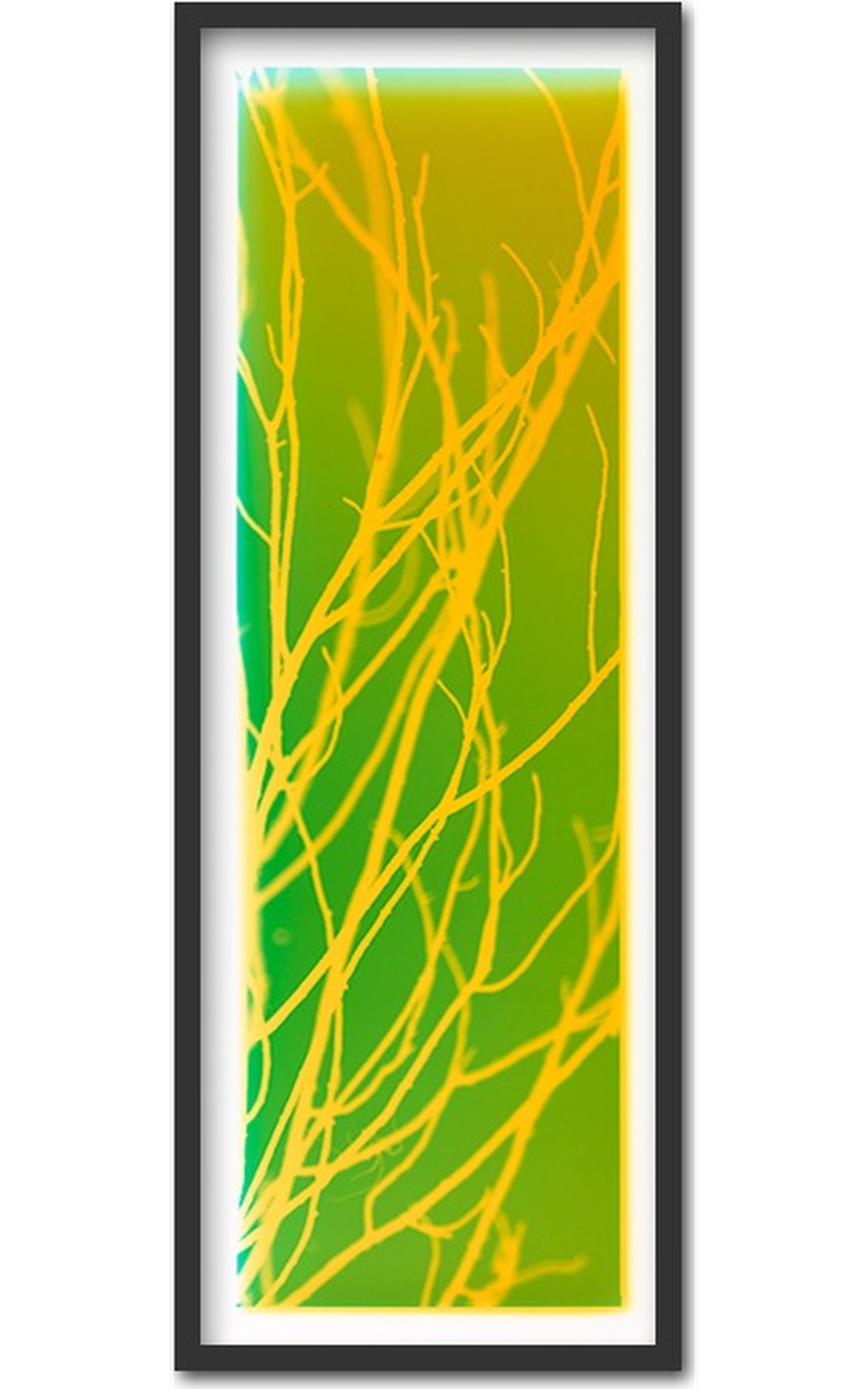 Abbey garden ~ 30x75cm