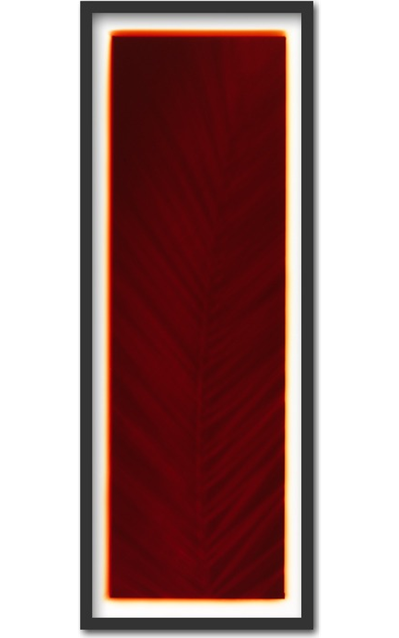 Palm leaf (moonlight exposure) ~ 30x75cm