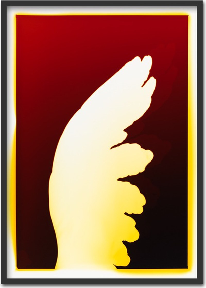 Angel's wing ~ 55x75cm