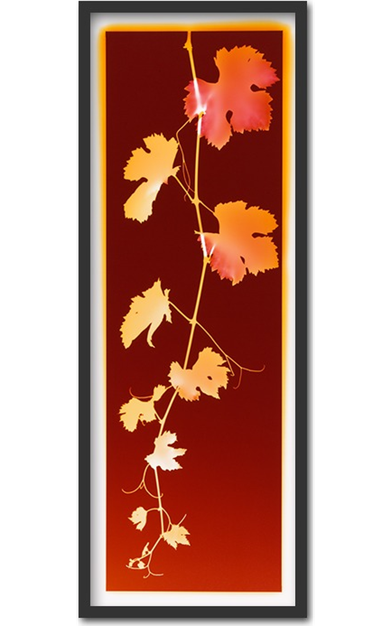 Vinogram ~ 30x75cm