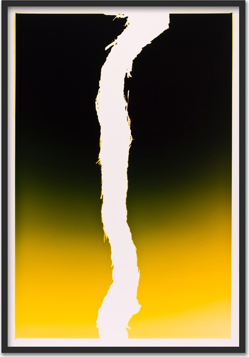 Vinogram ~ 75x110cm
